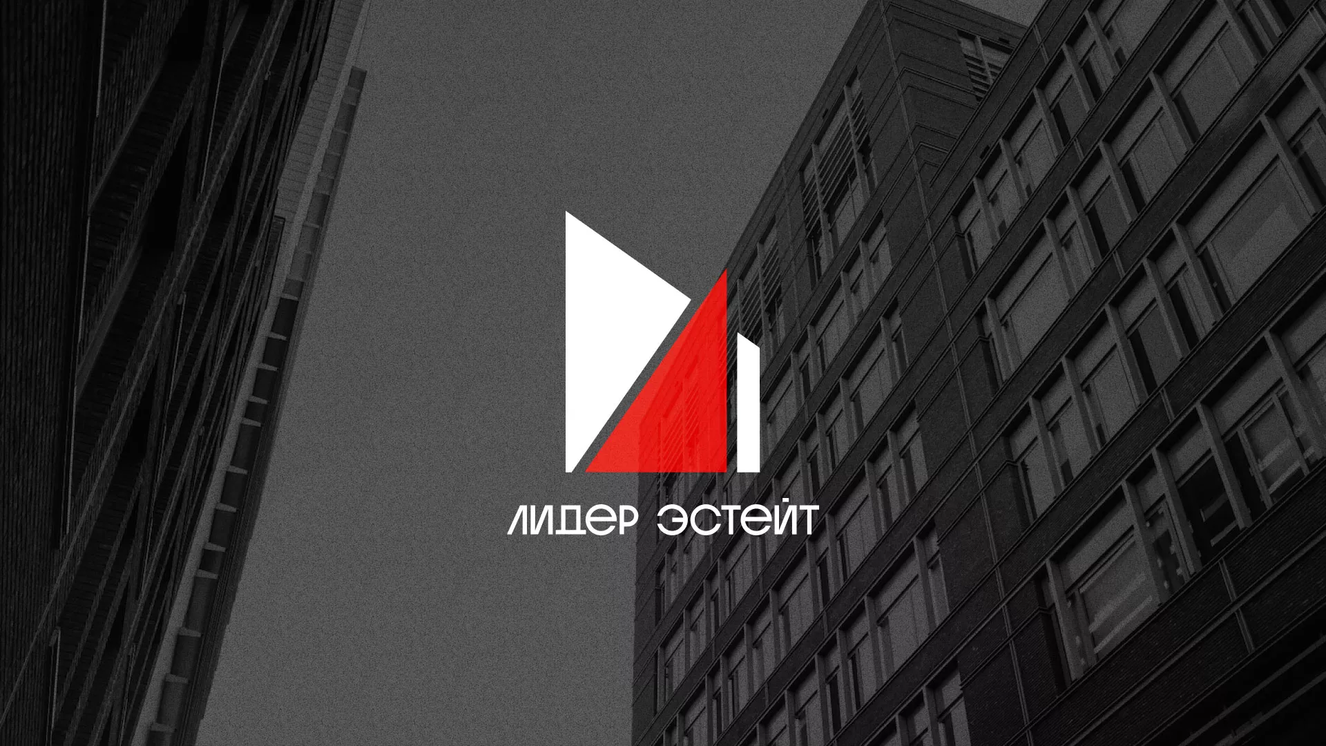 Сделали логотип для агентства недвижимости «Лидер Эстейт» в Черемхово